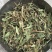 甜叶菊，全叶甜菊叶，小叶、大叶甜叶菊，含糖量高