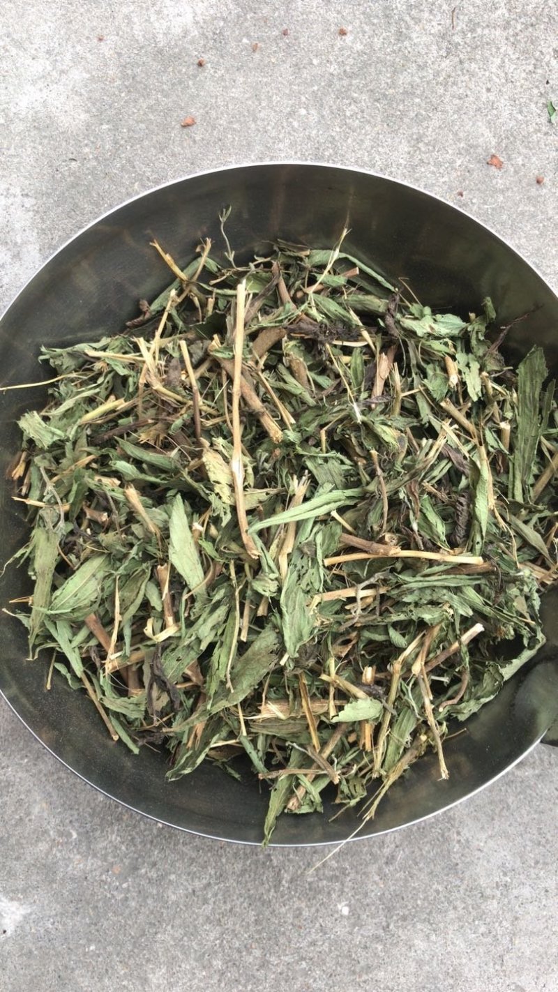 甜叶菊，全叶甜菊叶，小叶、大叶甜叶菊，含糖量高