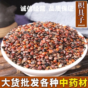 枳椇子新货无杂质枳椇子产地直销品质保证供大货各种籽籽