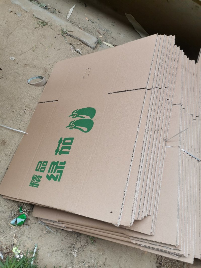 青皮茄子个头匀称批发商采购