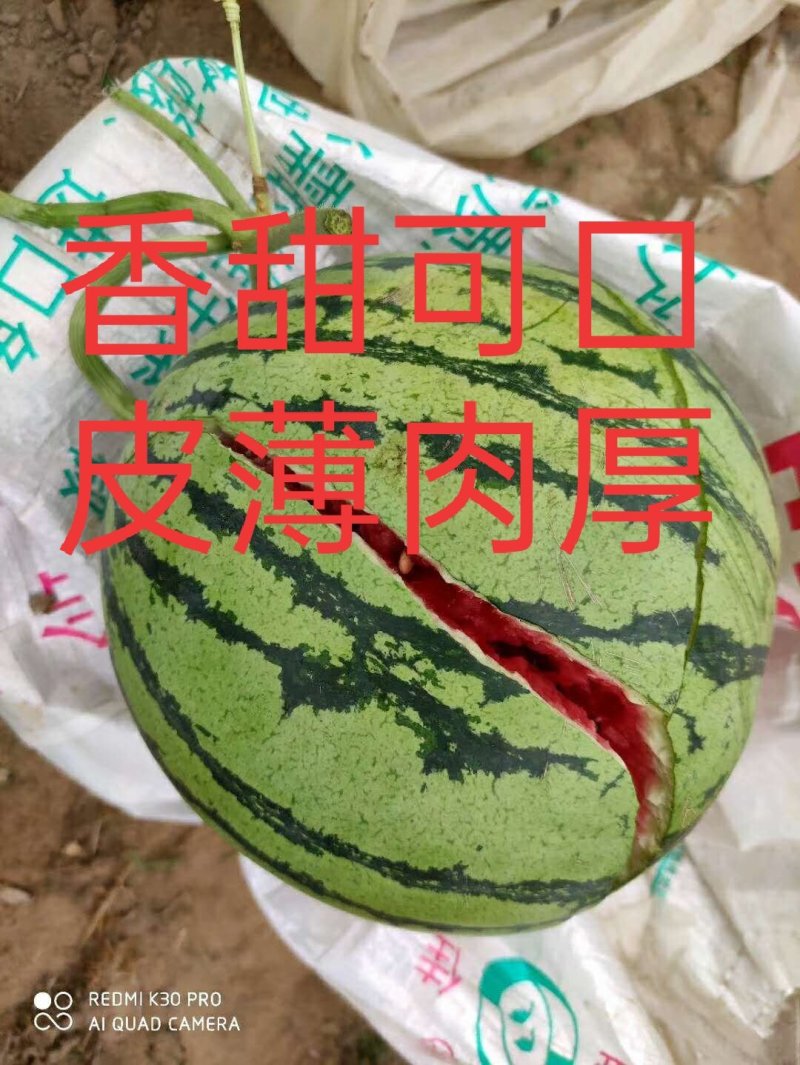 甜王西瓜大量上市，应季水果量大从优产地直销欢迎选购