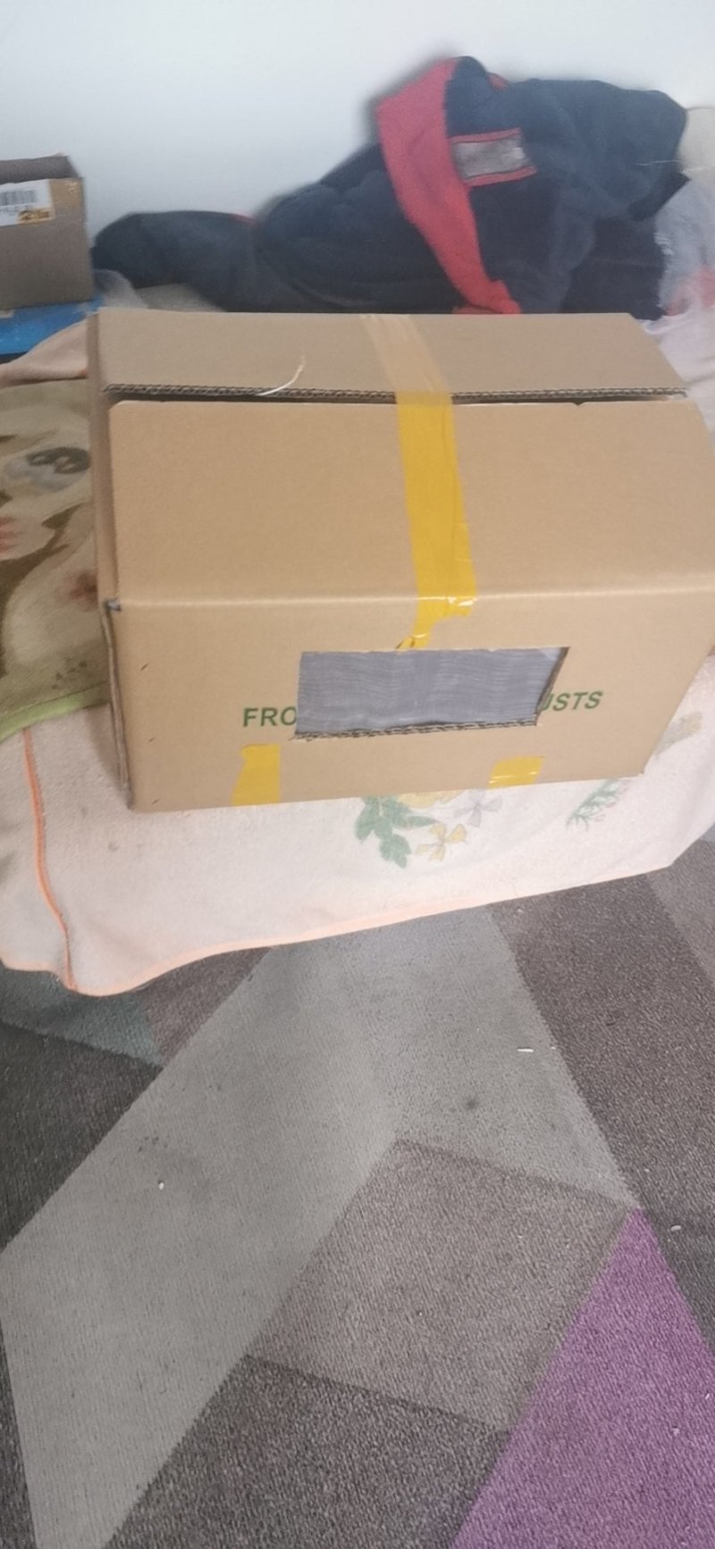活体，蝗虫，蚂蚱，喂鸟，育蜂专用