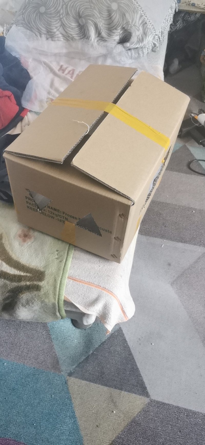 活体，蝗虫，蚂蚱，喂鸟，育蜂专用