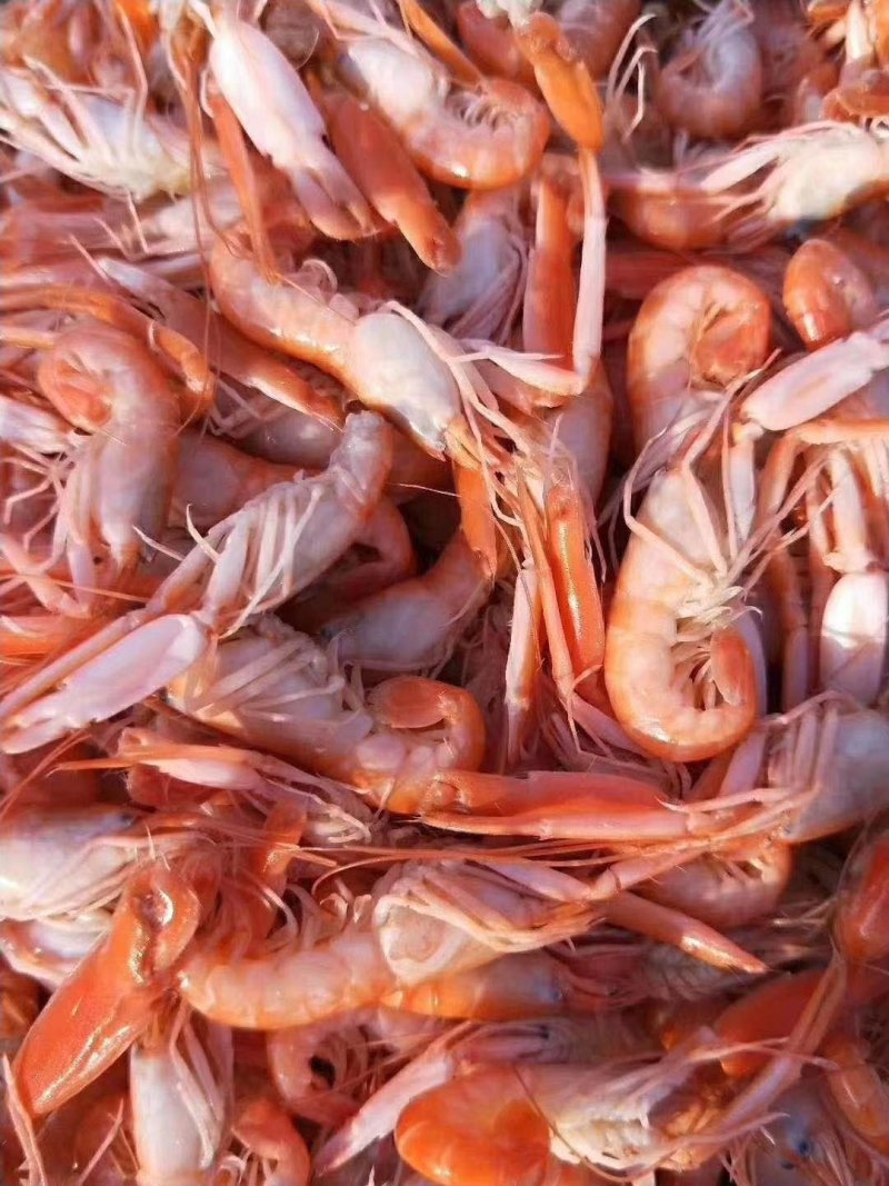 滨州红虾食用冻虾，大量供应油炸小食品