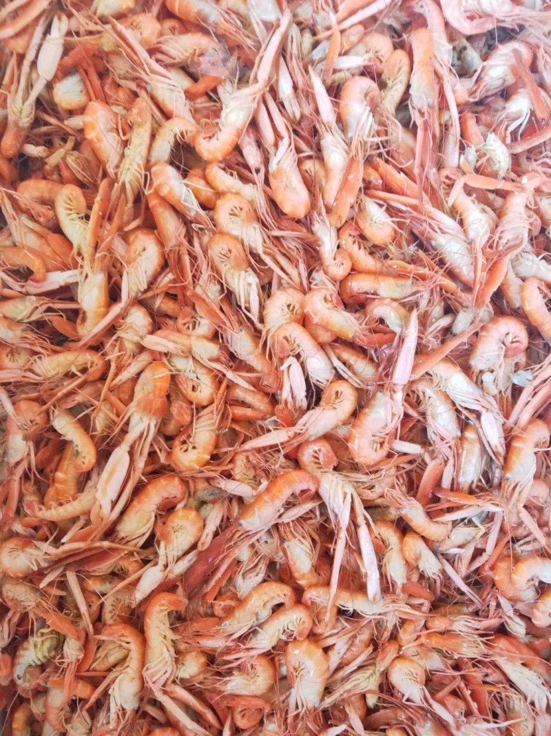 滨州红虾食用冻虾，大量供应油炸小食品