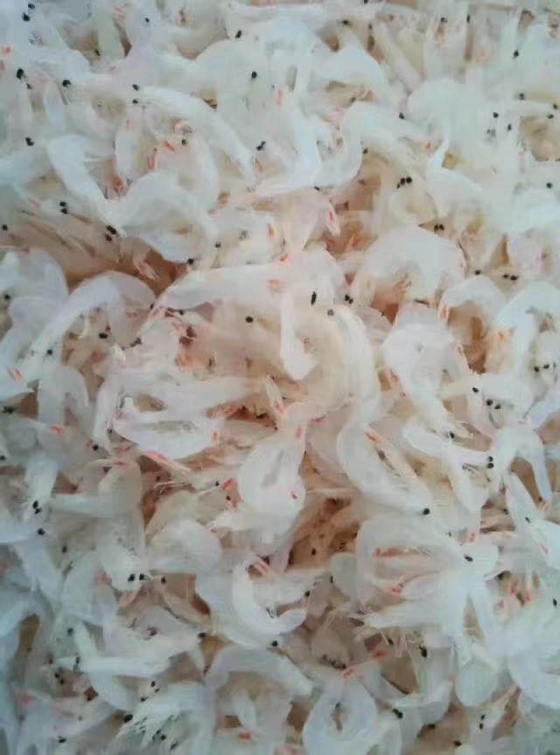 虾皮无盐虾皮流水线三级，大量有货sc手续齐全贴牌