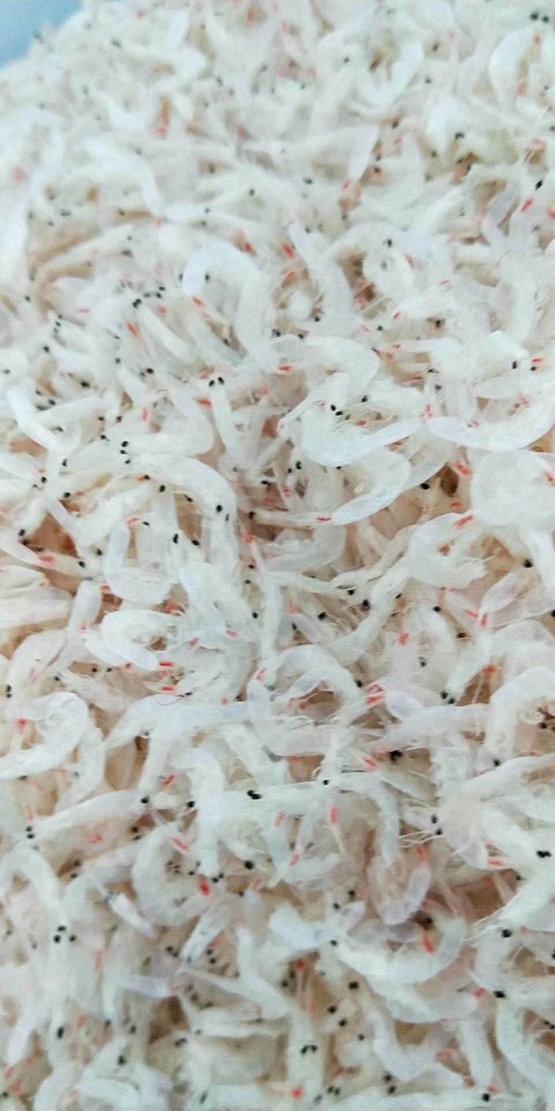 虾皮无盐虾皮流水线三级，大量有货sc手续齐全贴牌