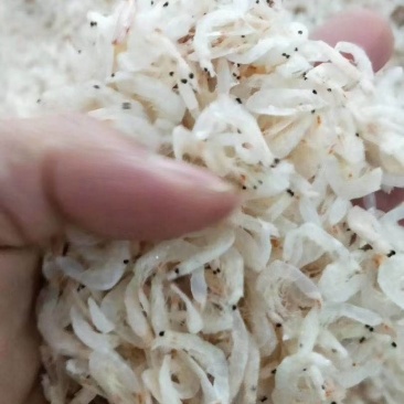 虾皮无盐虾皮流水线三级,大量有货sc手续齐全贴牌