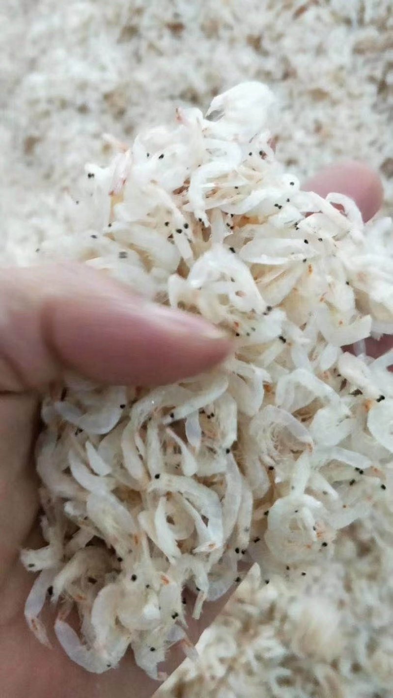 虾皮无盐虾皮流水线三级，大量有货sc手续齐全贴牌