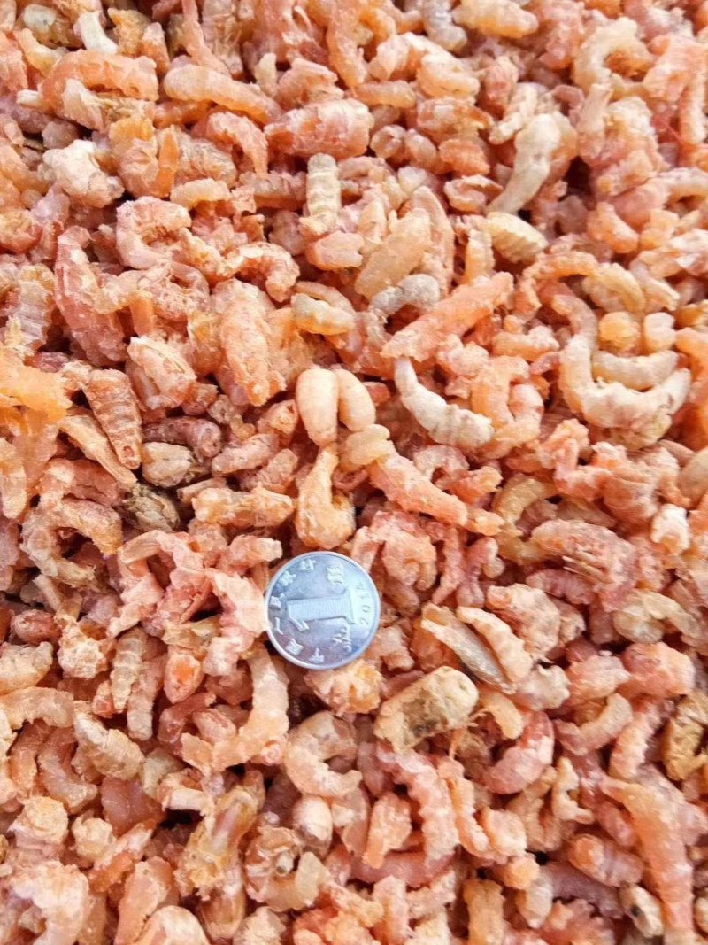 海米，干虾仁对虾海米，来就有优惠对虾米