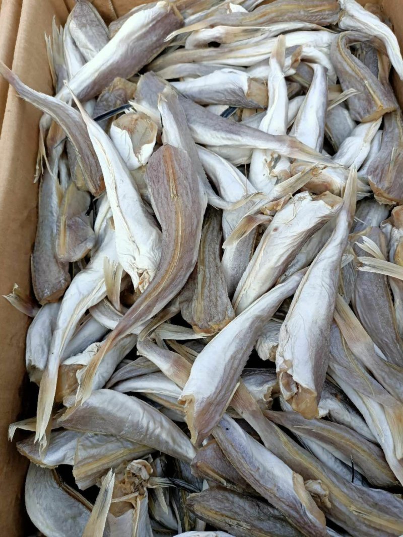 皮棍鱼，红娘子鱼，咸鱼，去了头和内脏的！