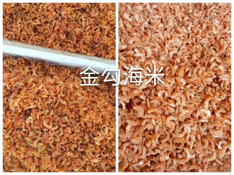 山东滨州海米，金钩米，公司长期供货，诚信合作