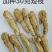 西洋参进口短支加拿大500克起批包邮正品