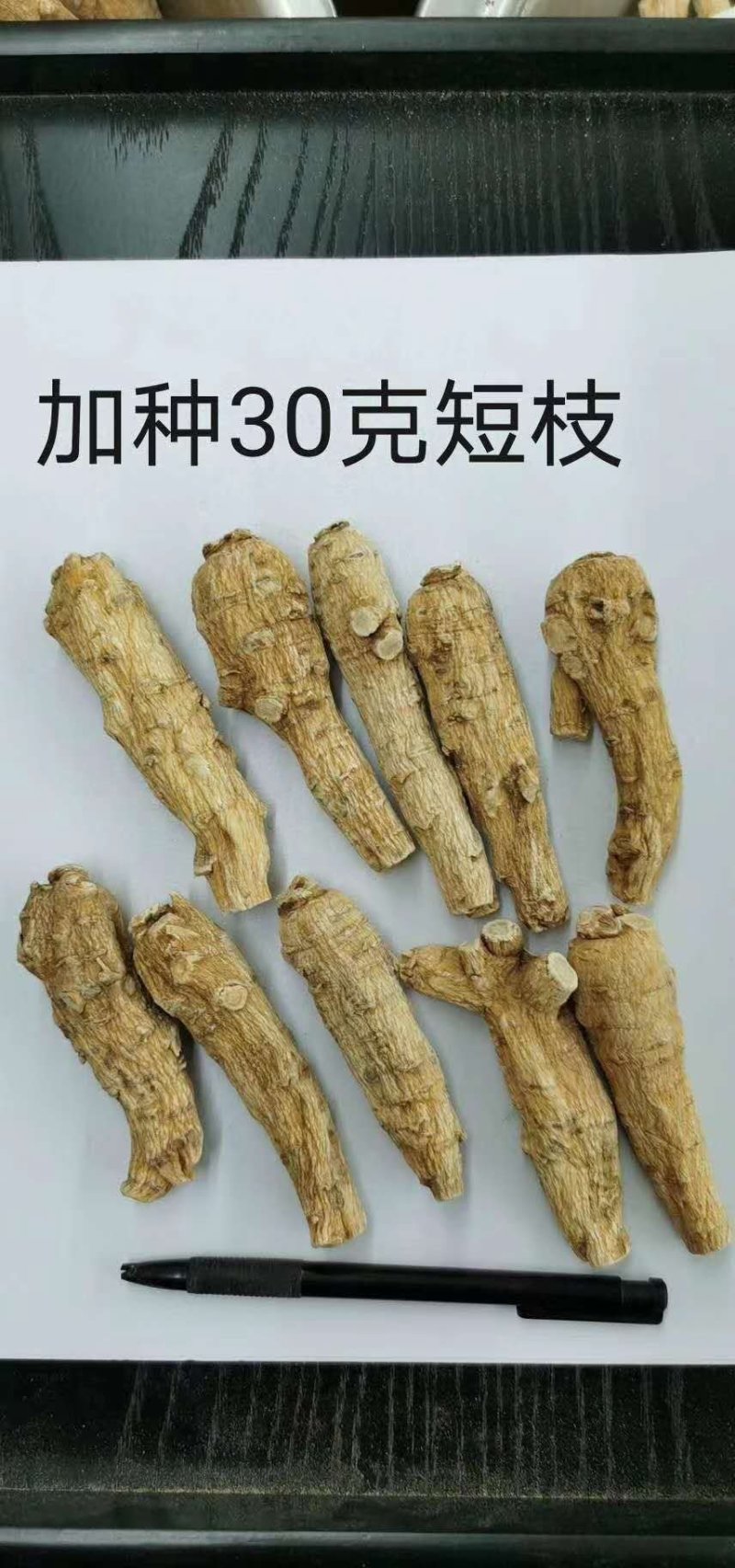 西洋参进口短支加拿大500克起批包邮正品