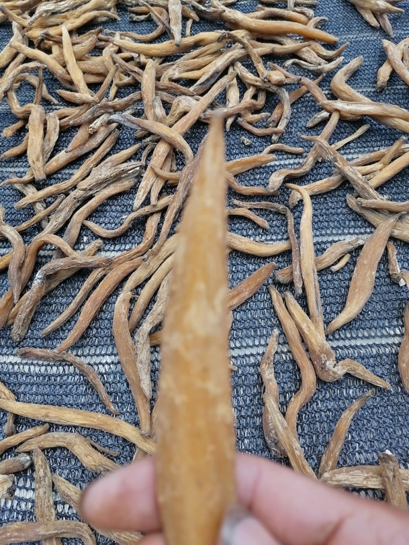 云南野生百部，儿多母苦统条干货产地直销货源充足