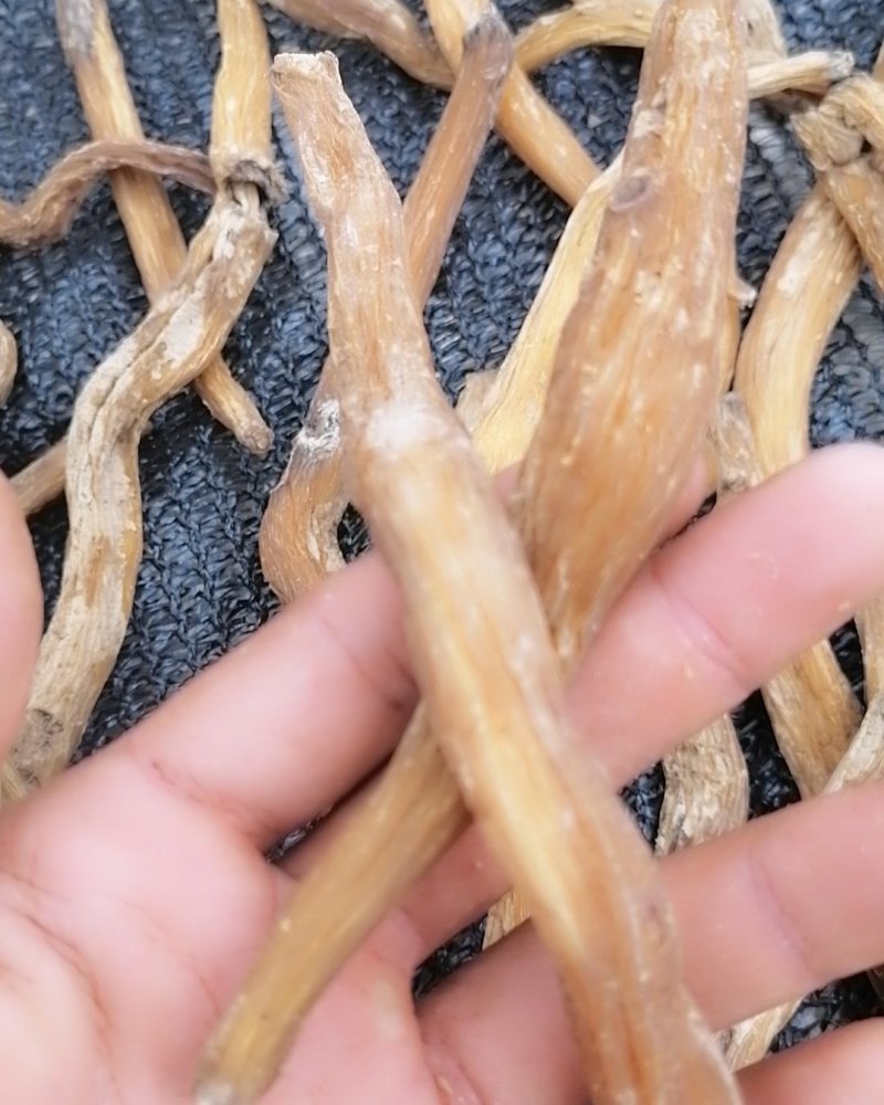 云南野生百部，儿多母苦统条干货产地直销货源充足