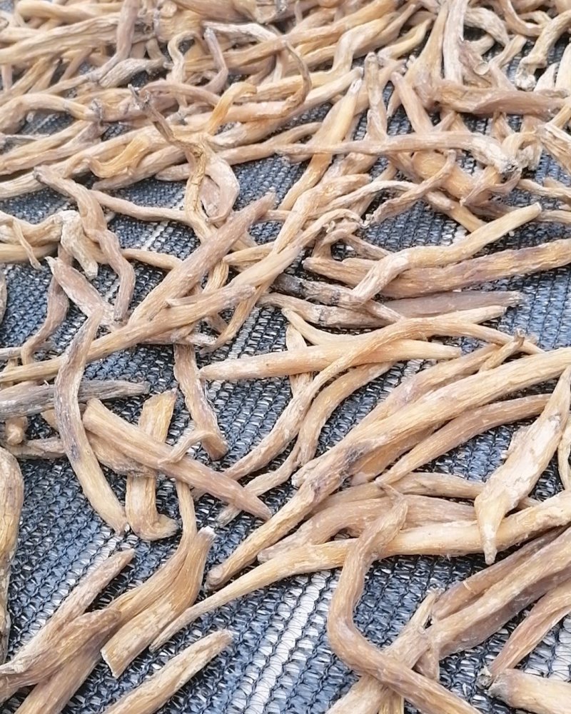 云南野生百部，儿多母苦统条干货产地直销货源充足