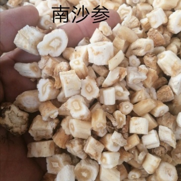 沙参，南沙参、北沙参，北沙参选条，大量现货供应