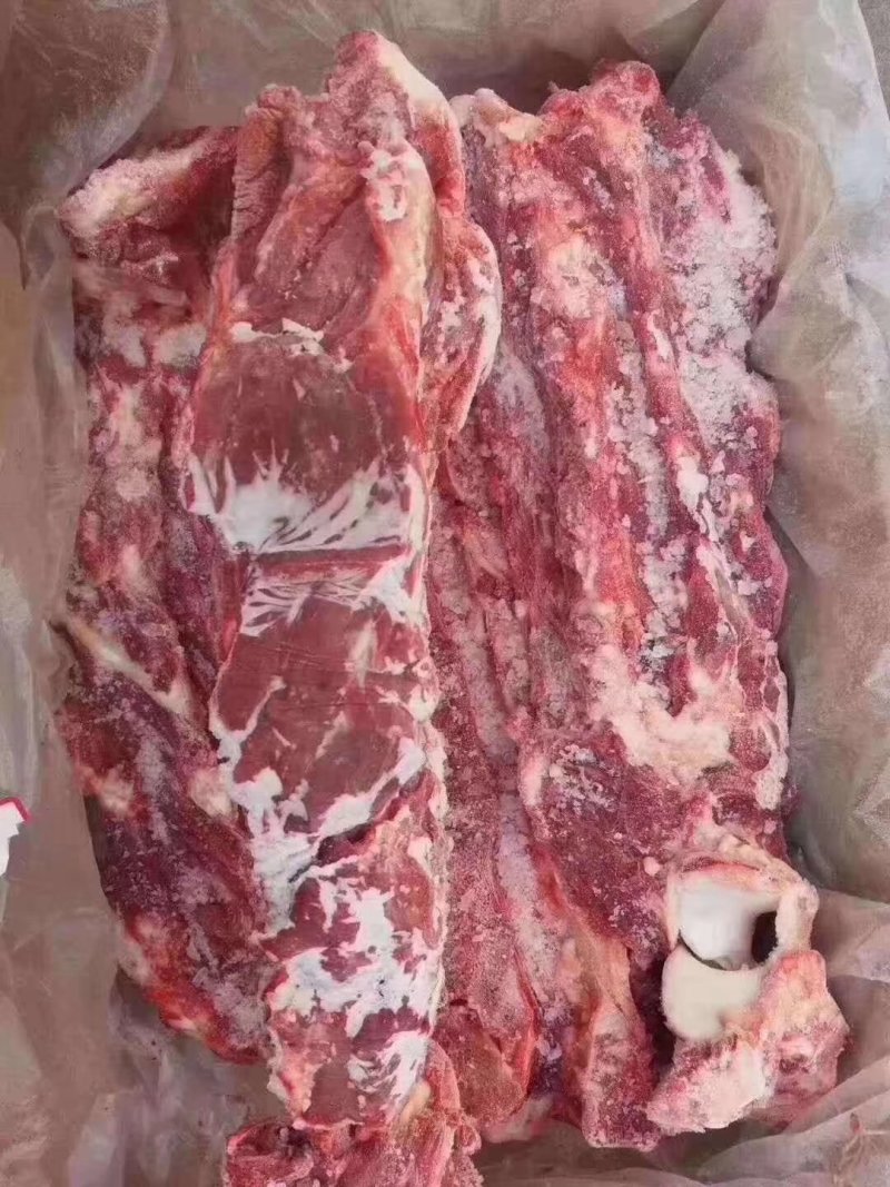 羊蝎子，多肉羊蝎子，大量批发