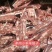 羊蝎子，多肉羊蝎子，大量批发