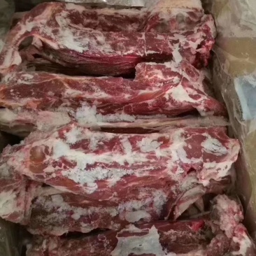 羊蝎子，多肉羊蝎子，大量批发