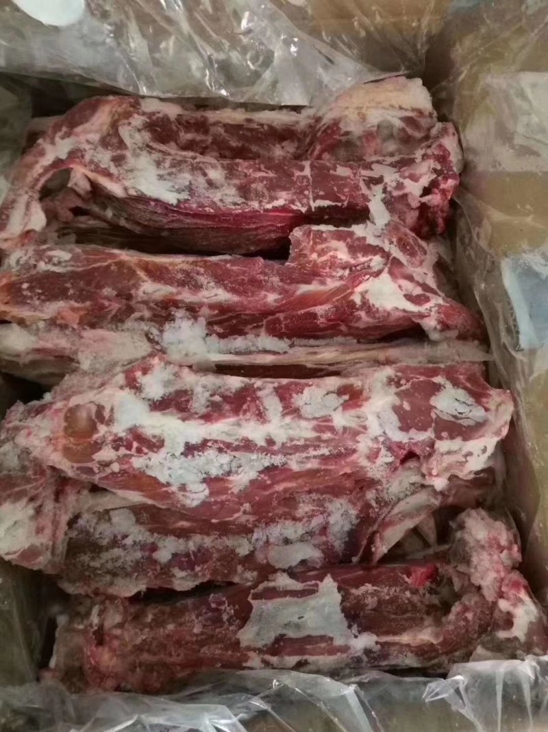 羊蝎子，多肉羊蝎子，大量批发