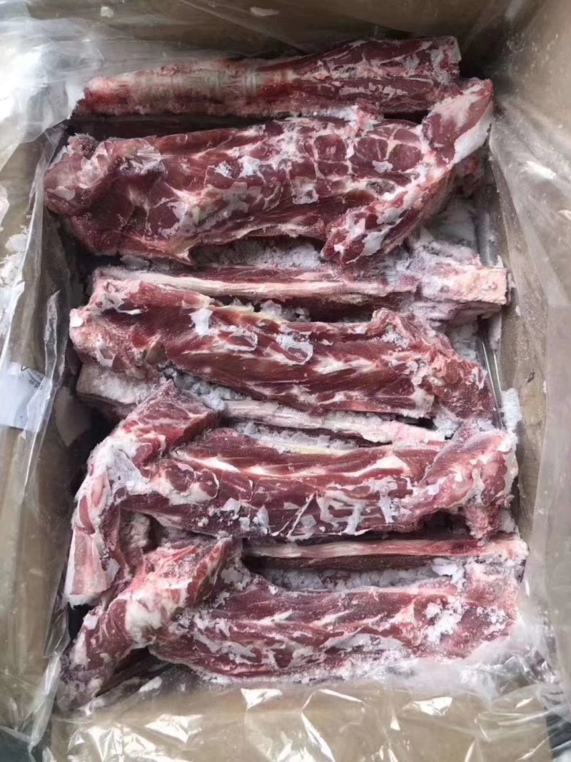 羊蝎子，多肉羊蝎子，大量批发