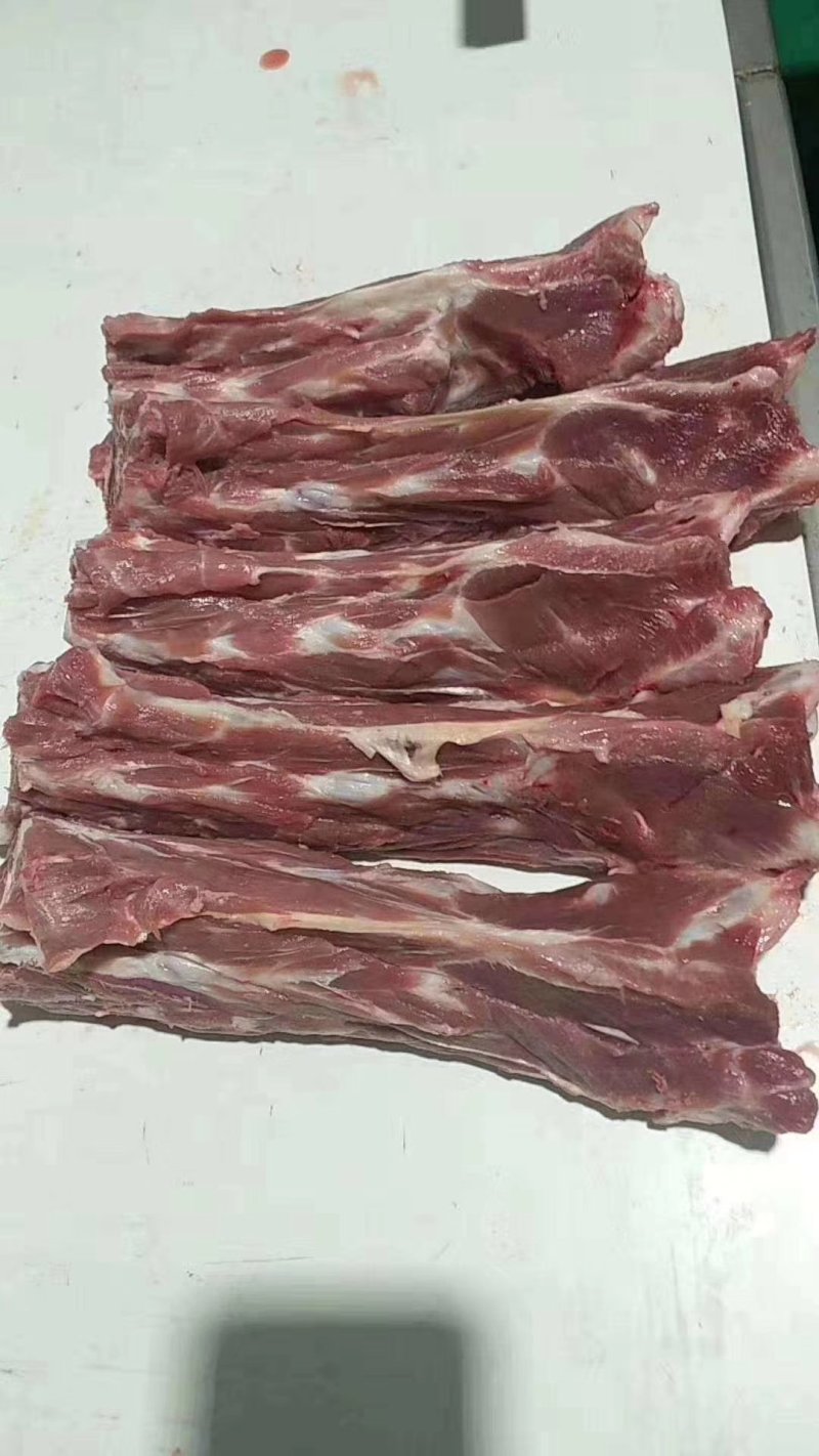 羊蝎子，多肉羊蝎子，大量批发