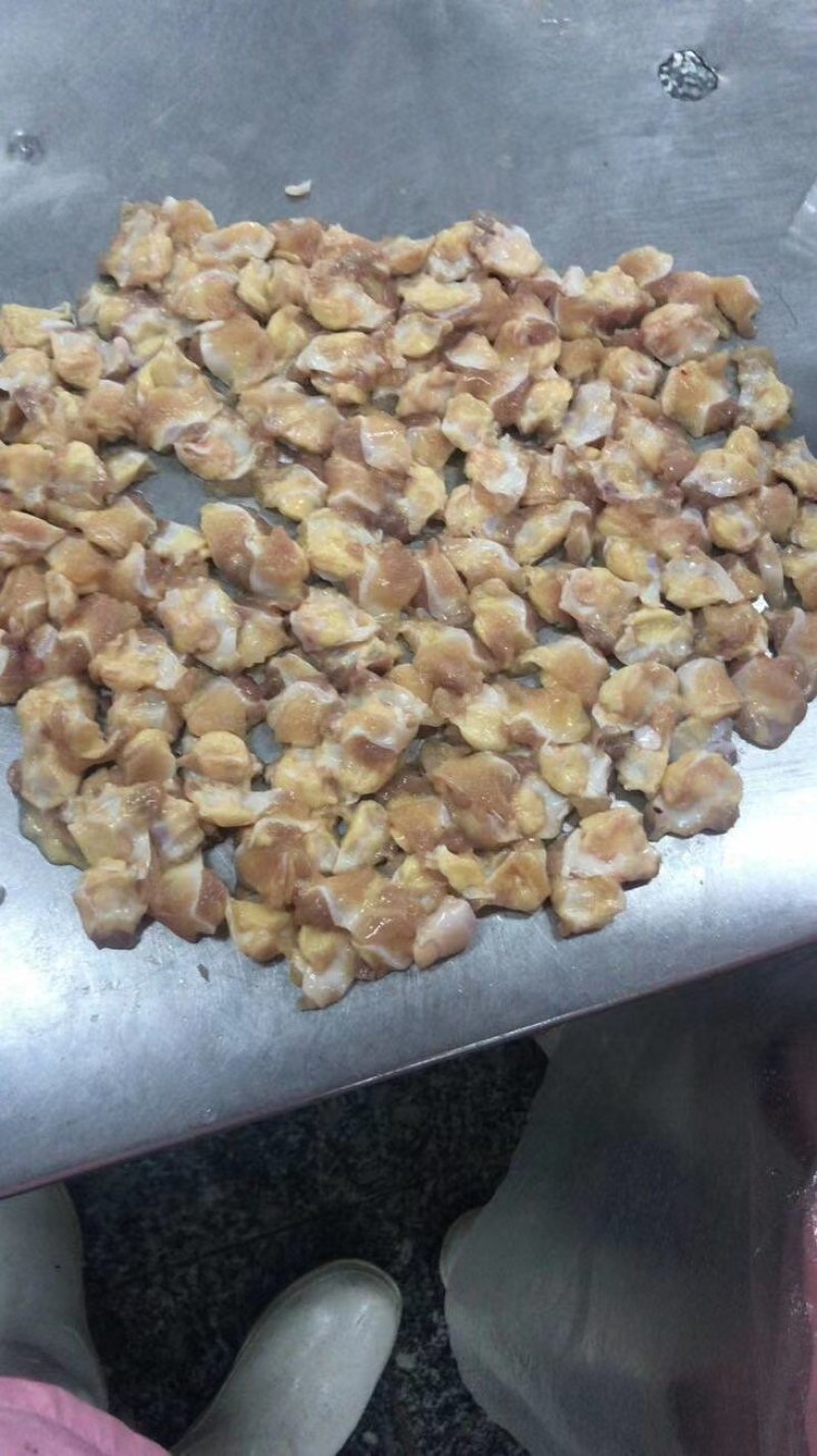 膝软骨，国产，5克以下，穿串，厂家直接发货。