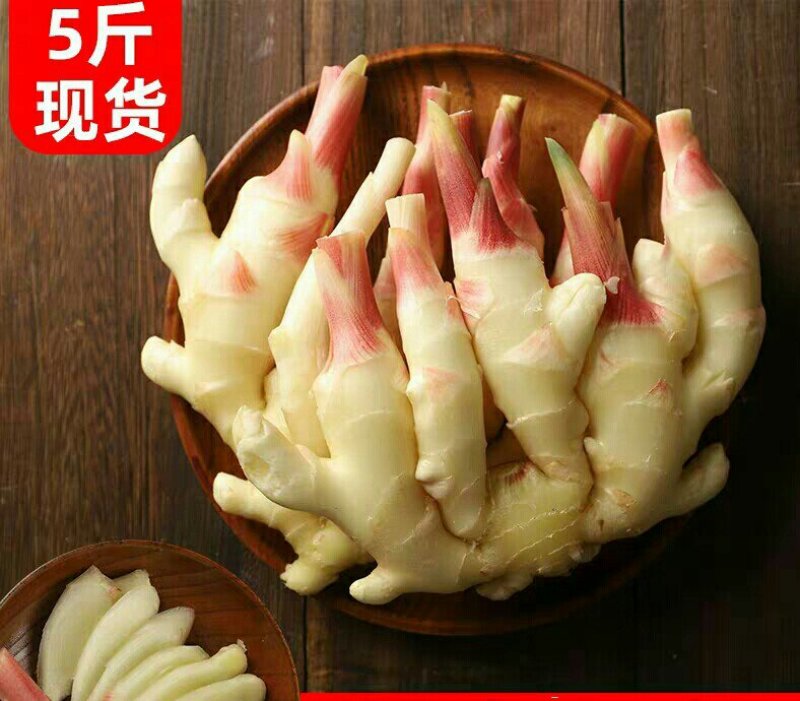 [一件代发]嫩姜新鲜生姜仔姜子姜鲜姜腌制仔姜芽5斤装