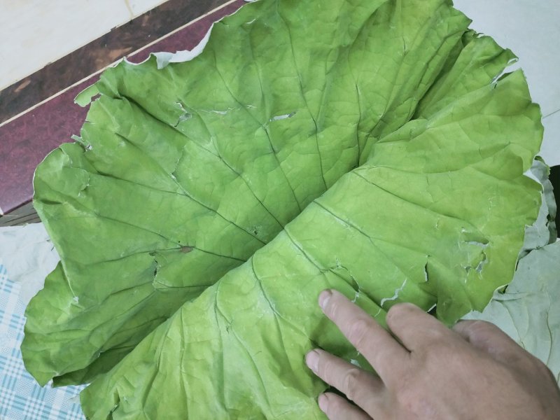 精品荷叶，江西石城荷叶，荷叶包鸡荷叶，三高何叶。6月上市