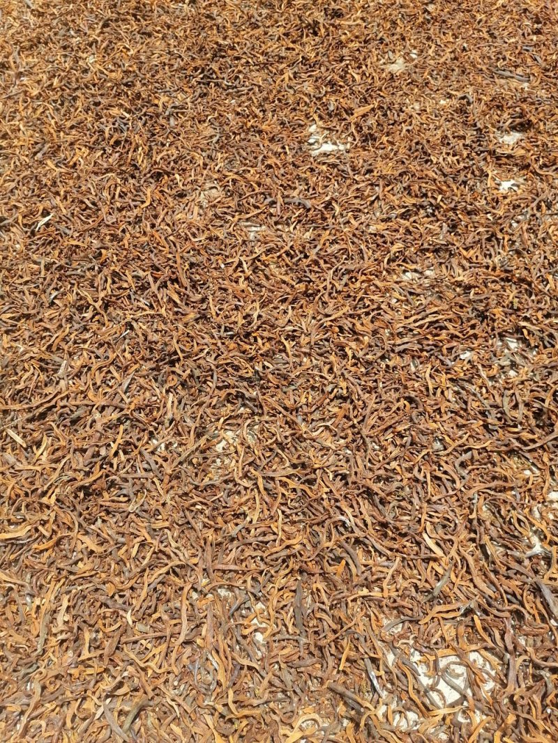 云南野生红色骨碎补爬山虎切片干货产地直销