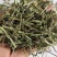 野生半枝莲挖耳草新货半枝连