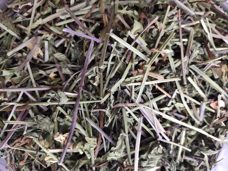野生半枝莲挖耳草新货半枝连