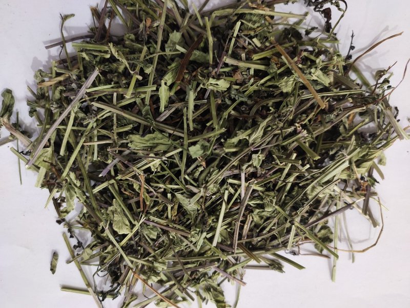 野生半枝莲挖耳草新货半枝连