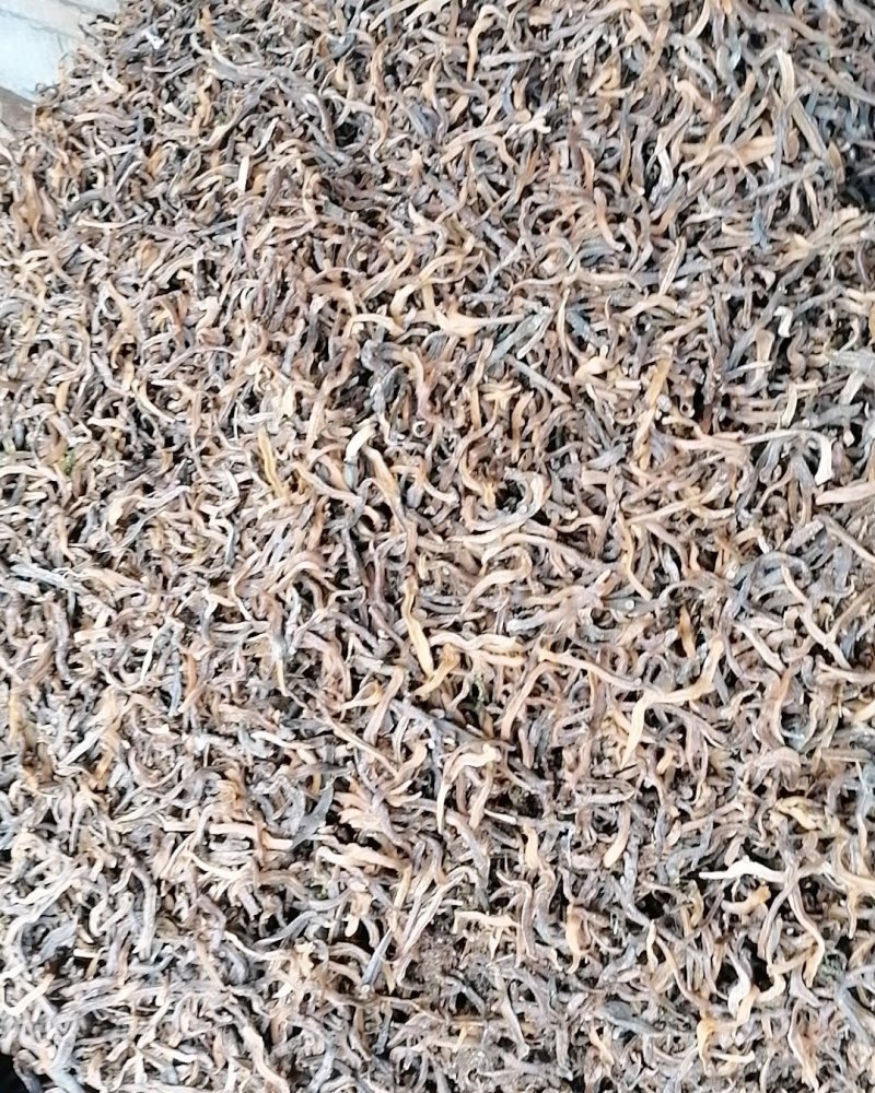 云南野生红色骨碎补爬山虎切片干货产地直销