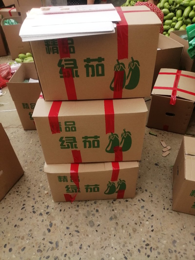 【茄子】大棚青茄已大量上市供应各大市场电商可视频看货