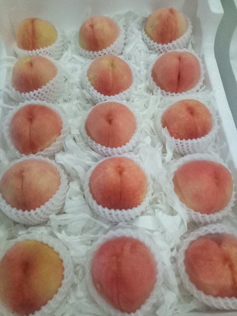 毛桃大量供应，水蜜桃。沙红中桃9号。中桃11，红桃，突围