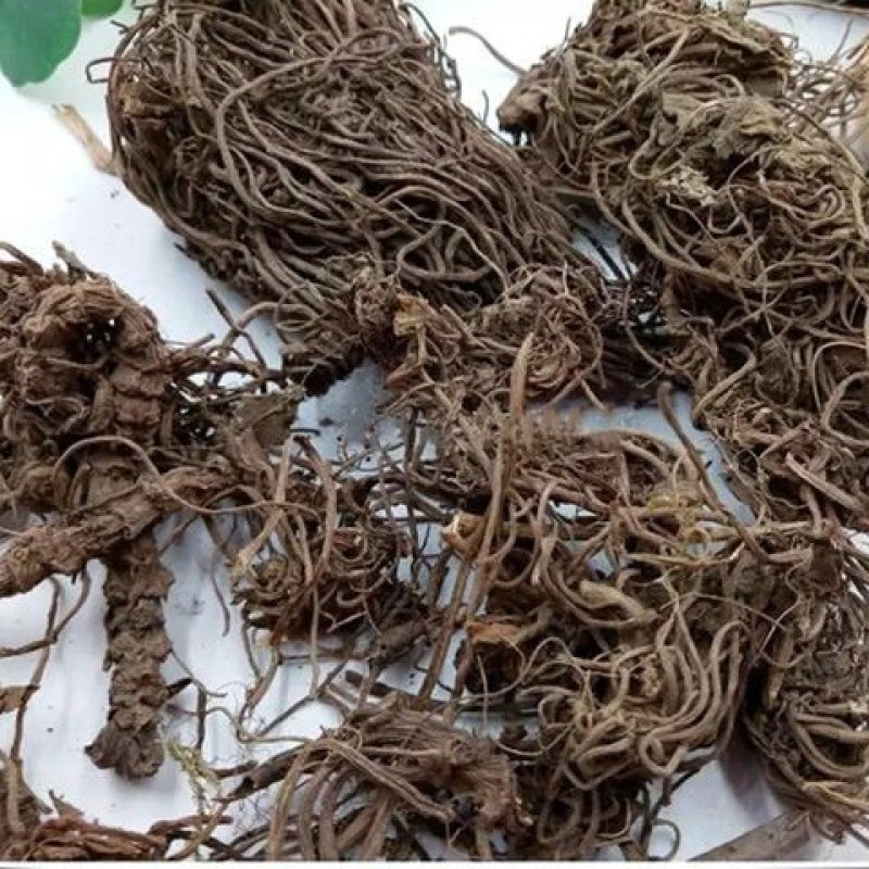 缬草，缬草根，产地直供道地药材，支持线上交易保障