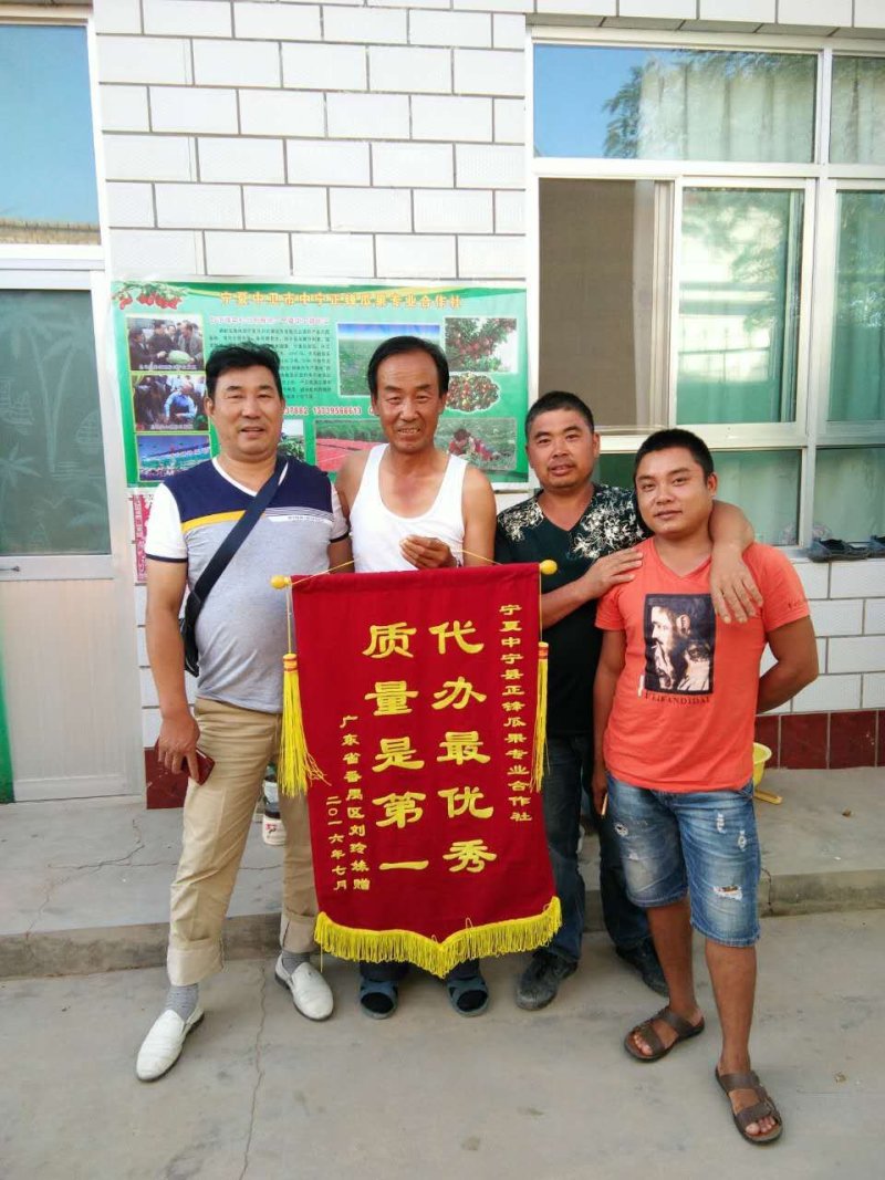 内蒙古鄂尔多斯沙漠西瓜批发，内蒙西瓜代办代收