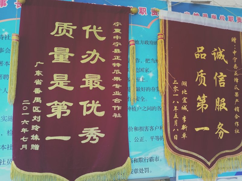 内蒙古鄂尔多斯沙漠西瓜批发，内蒙西瓜代办代收