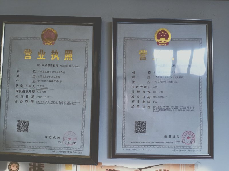 内蒙古鄂尔多斯沙漠西瓜批发，内蒙西瓜代办代收