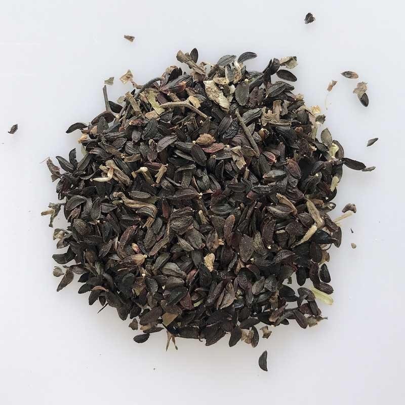 进口苦卖菜牧草菜种子苦麻菜种子苦麦菜养殖选良草包发芽种子