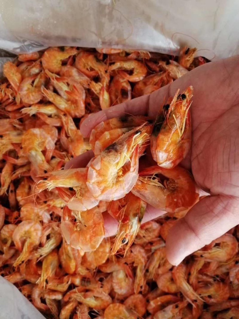 渤海湾特产烤虾一首货源特干