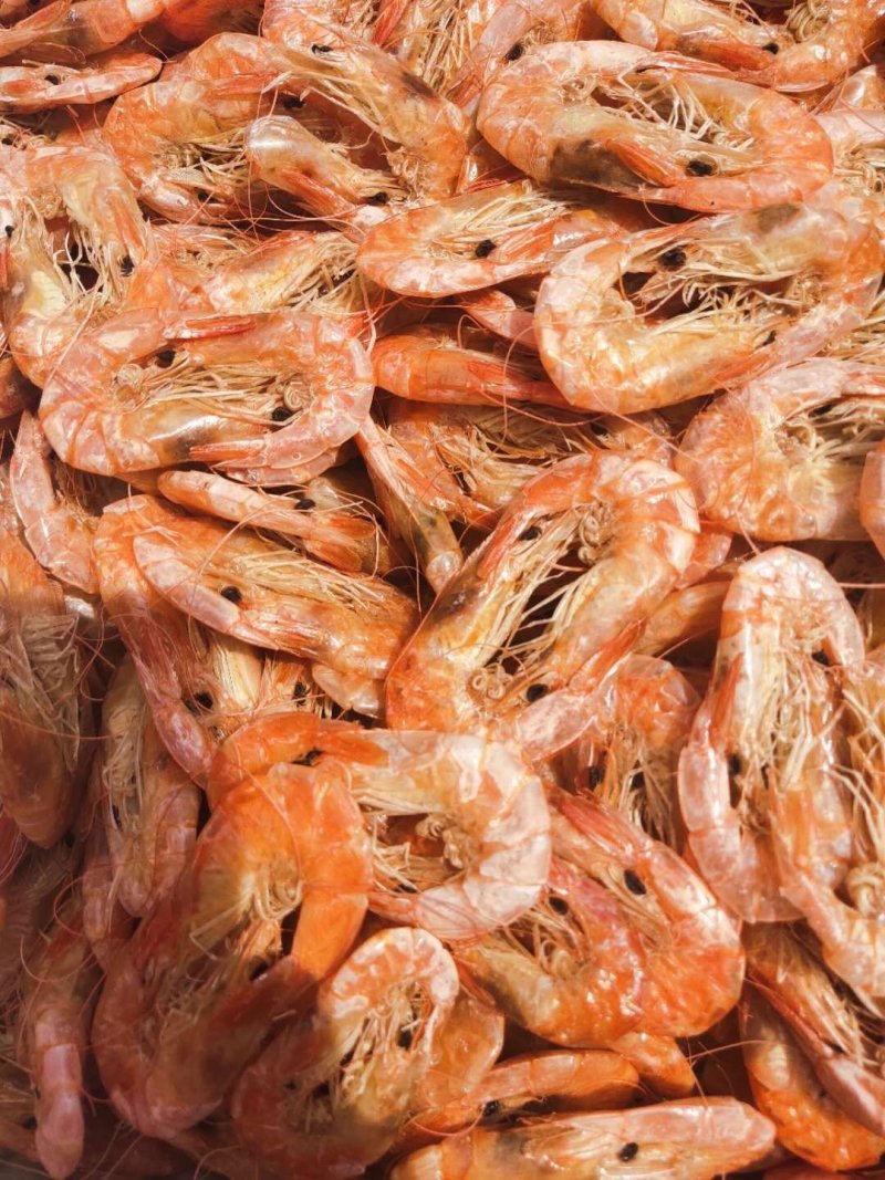 渤海湾特产烤虾一首货源特干