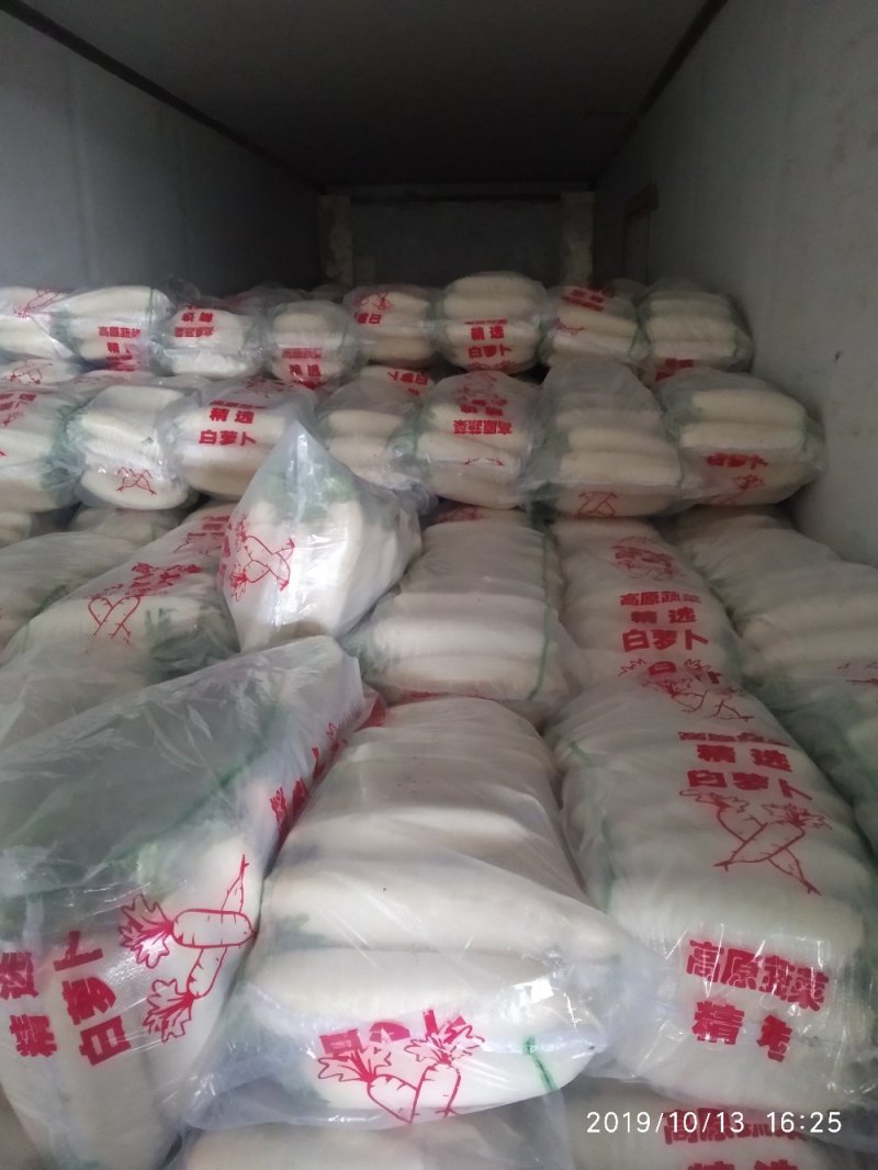 白萝卜湖北长阳高山白萝卜量大质优！！！！！！！！