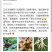 仙桃藕带