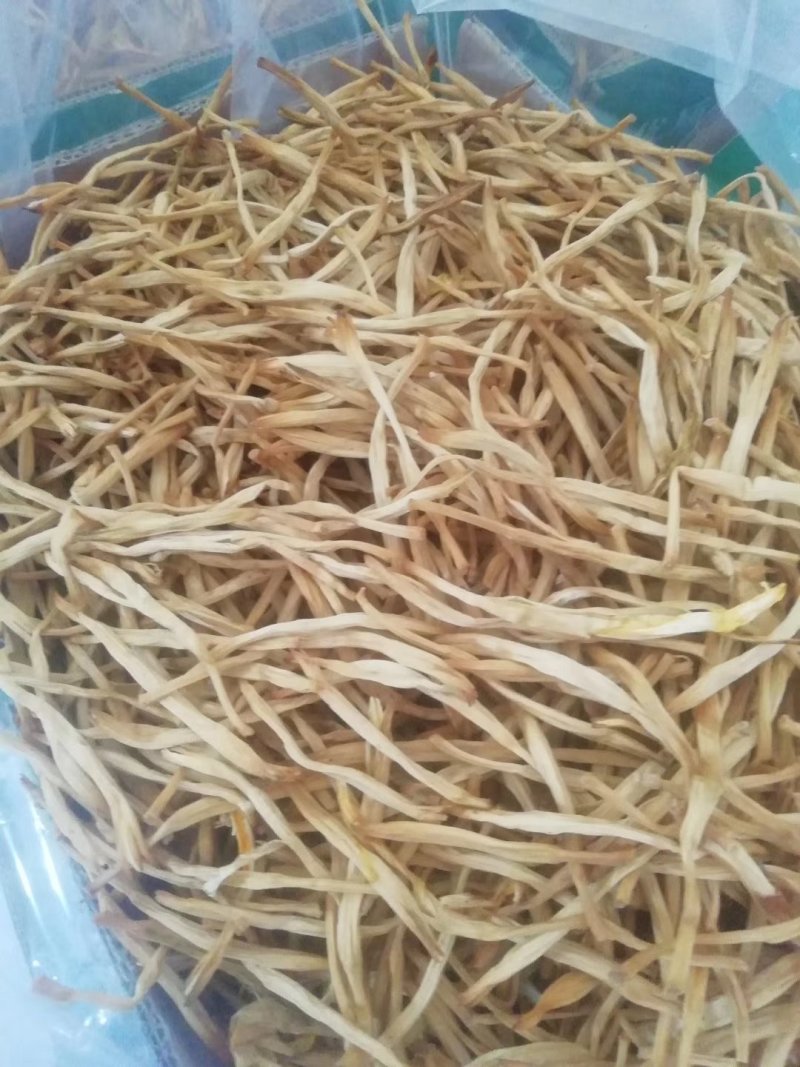 黄花菜金针菜产地直供万亩菜地大量有货，干湿同收散装一级