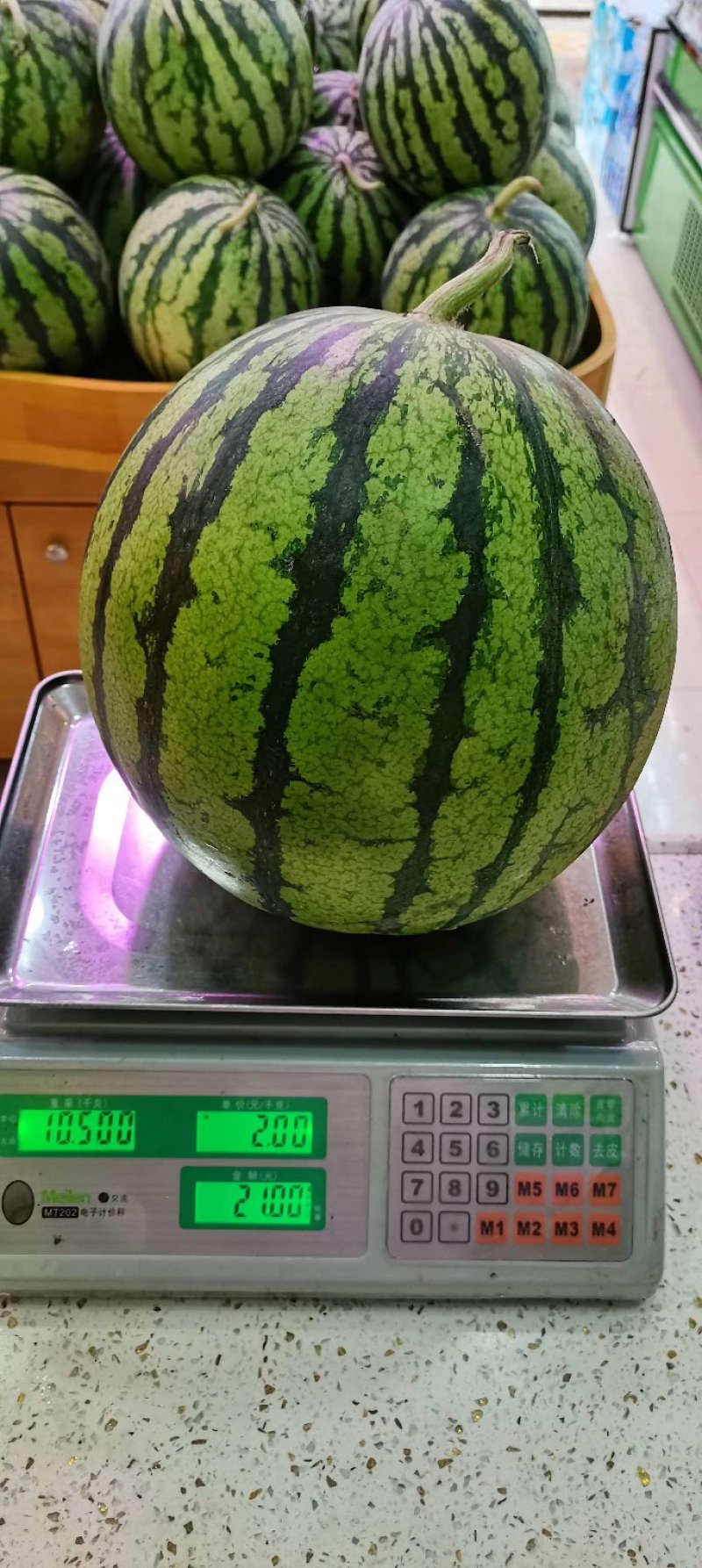 湖北宜城《8424西瓜》露天瓜八成熟8斤起产地一手货