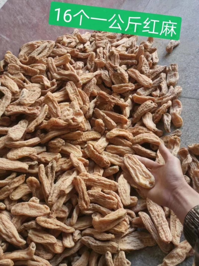 天麻片，天麻个，
